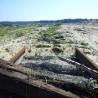 images/thumbsgallery/20120618_100734.jpg